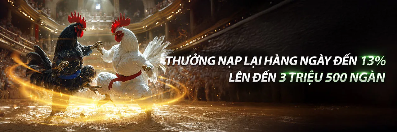 Đá Gà Trực Tiếp C2 23/10 tại Suncity Link